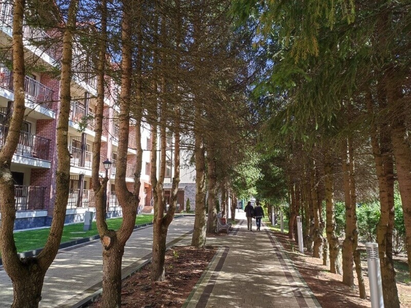 Санаторий Энергетик Светлогорск